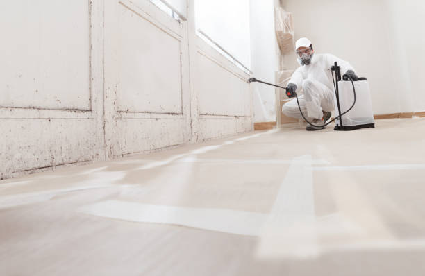 24/7 Emergency Crawl Space Mold Remediation experts in Freeburg, IL